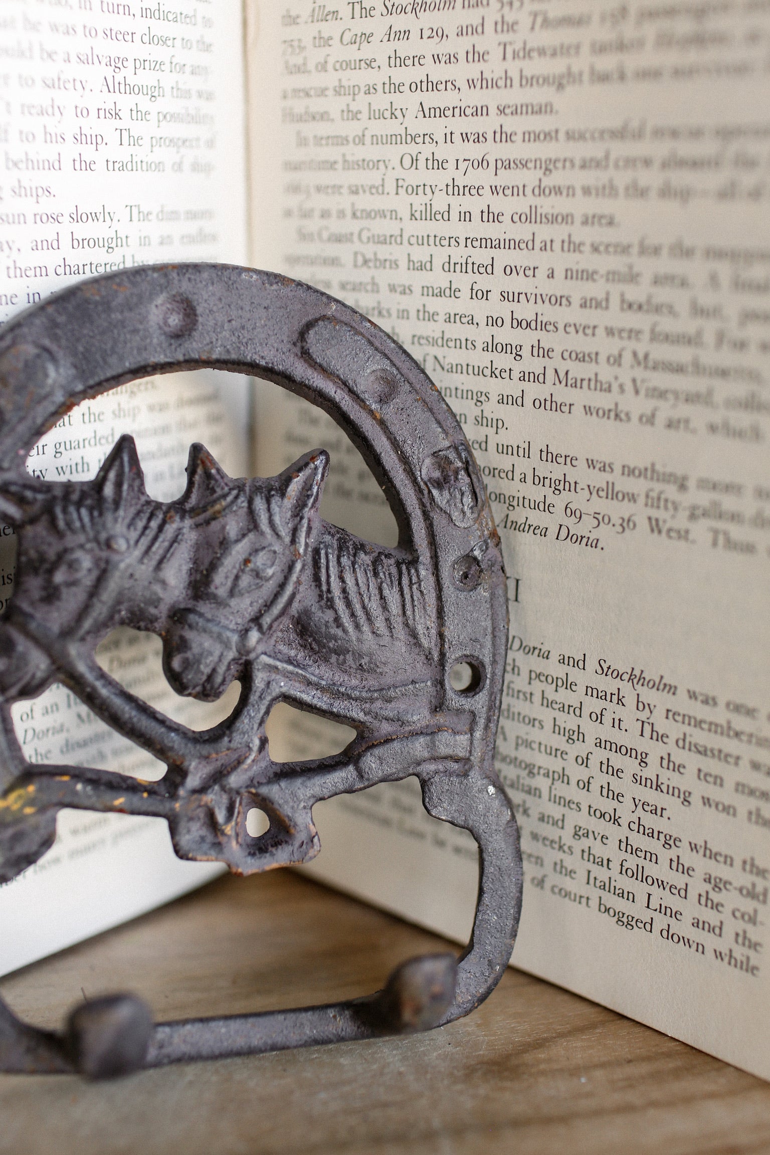 Vintage Iron Horse Hooks The Little Burlap Barn®