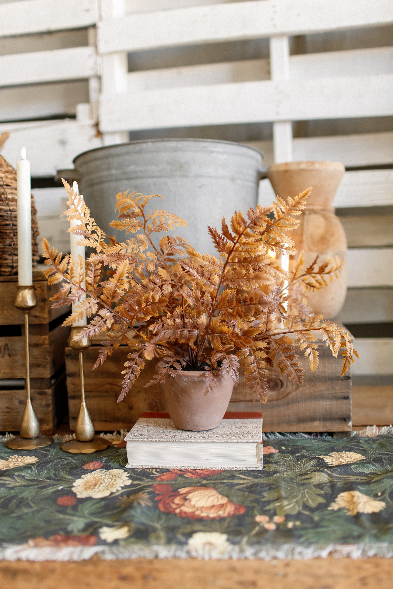 Potted Autumnal Fern