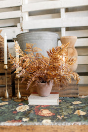 Potted Autumnal Fern