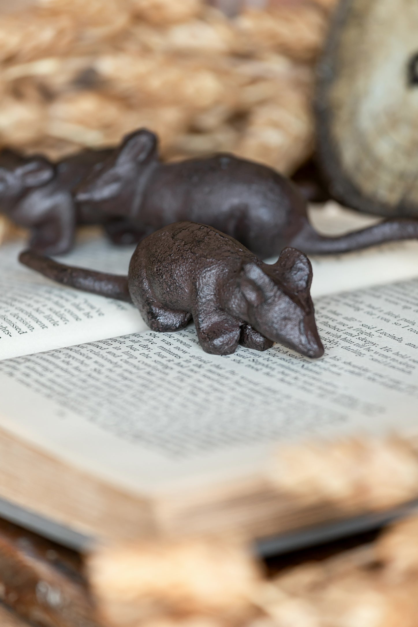 Cast Iron Mouse Creative Co-Op