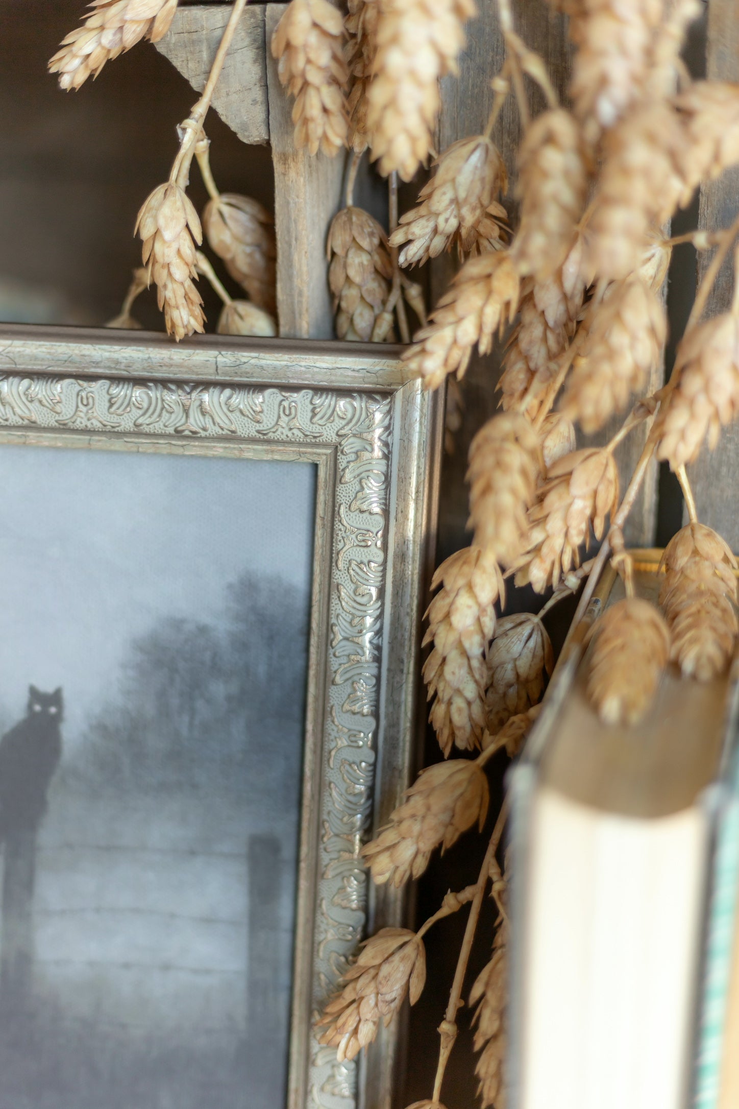 Black Cat Framed Art The Little Burlap Barn