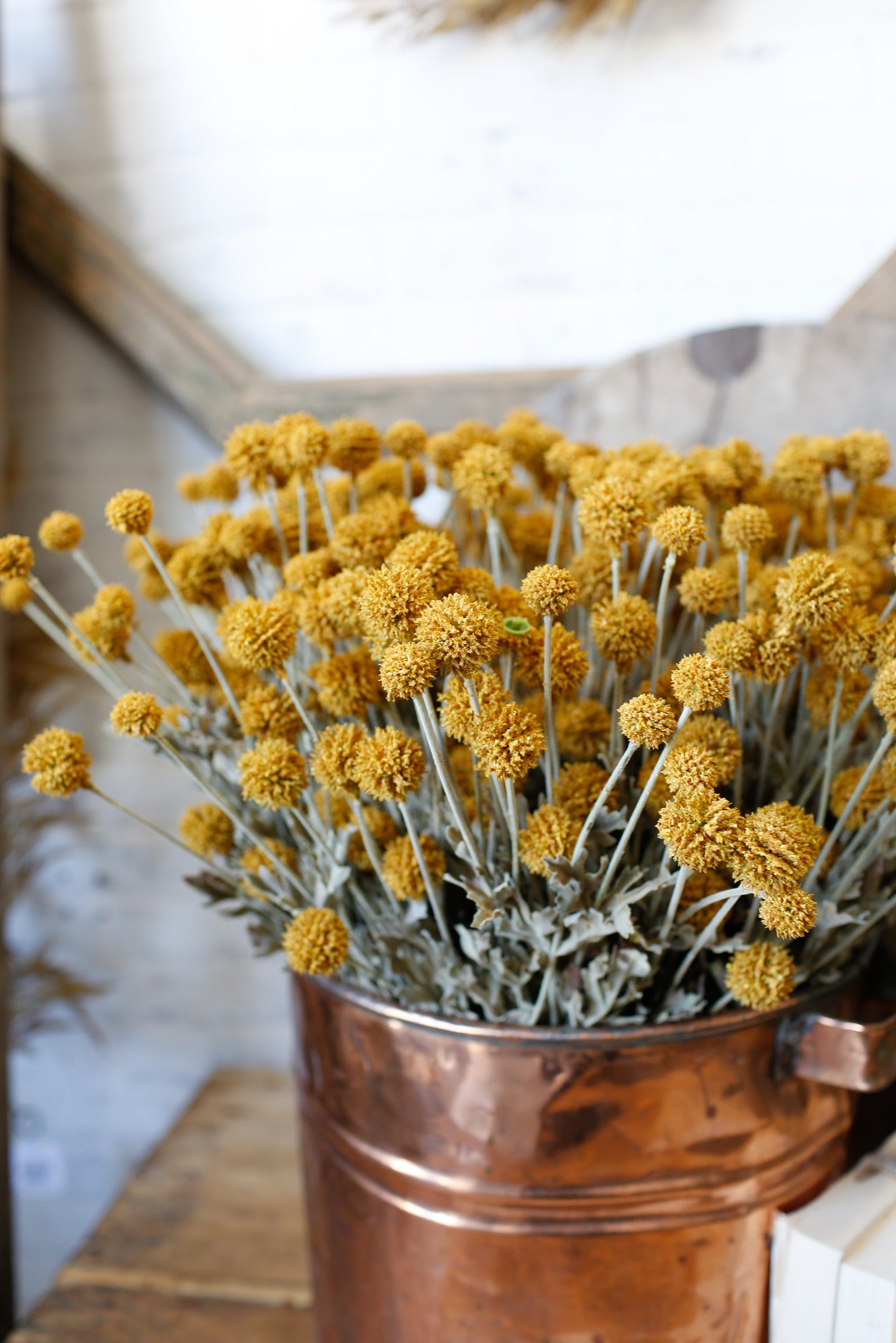 Whimsy Wildflower Bush (Mustard)