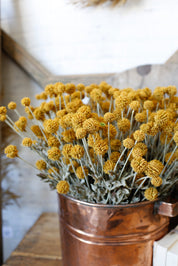 Whimsy Wildflower Bush (Mustard)