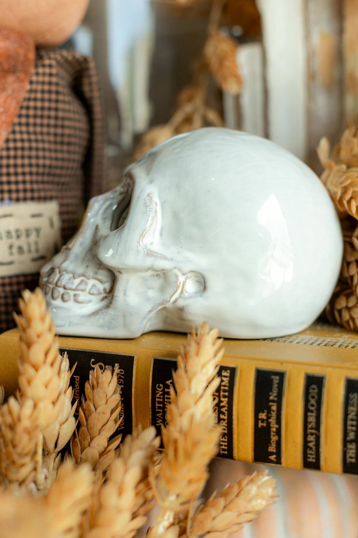 Ceramic Glazed Skull The Little Burlap Barn®