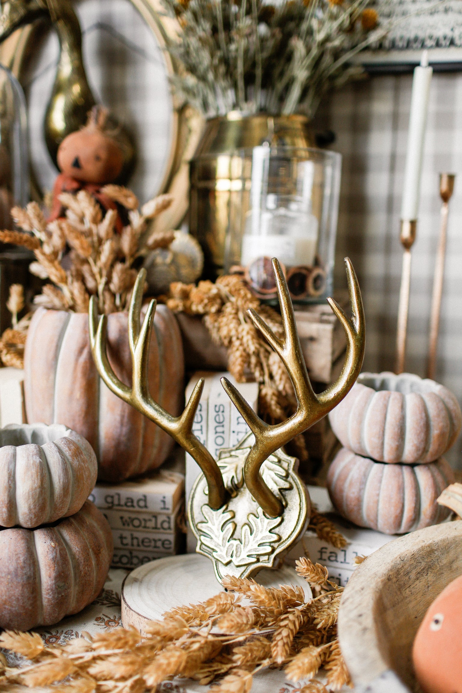 Oakdale Antler Mount (S)