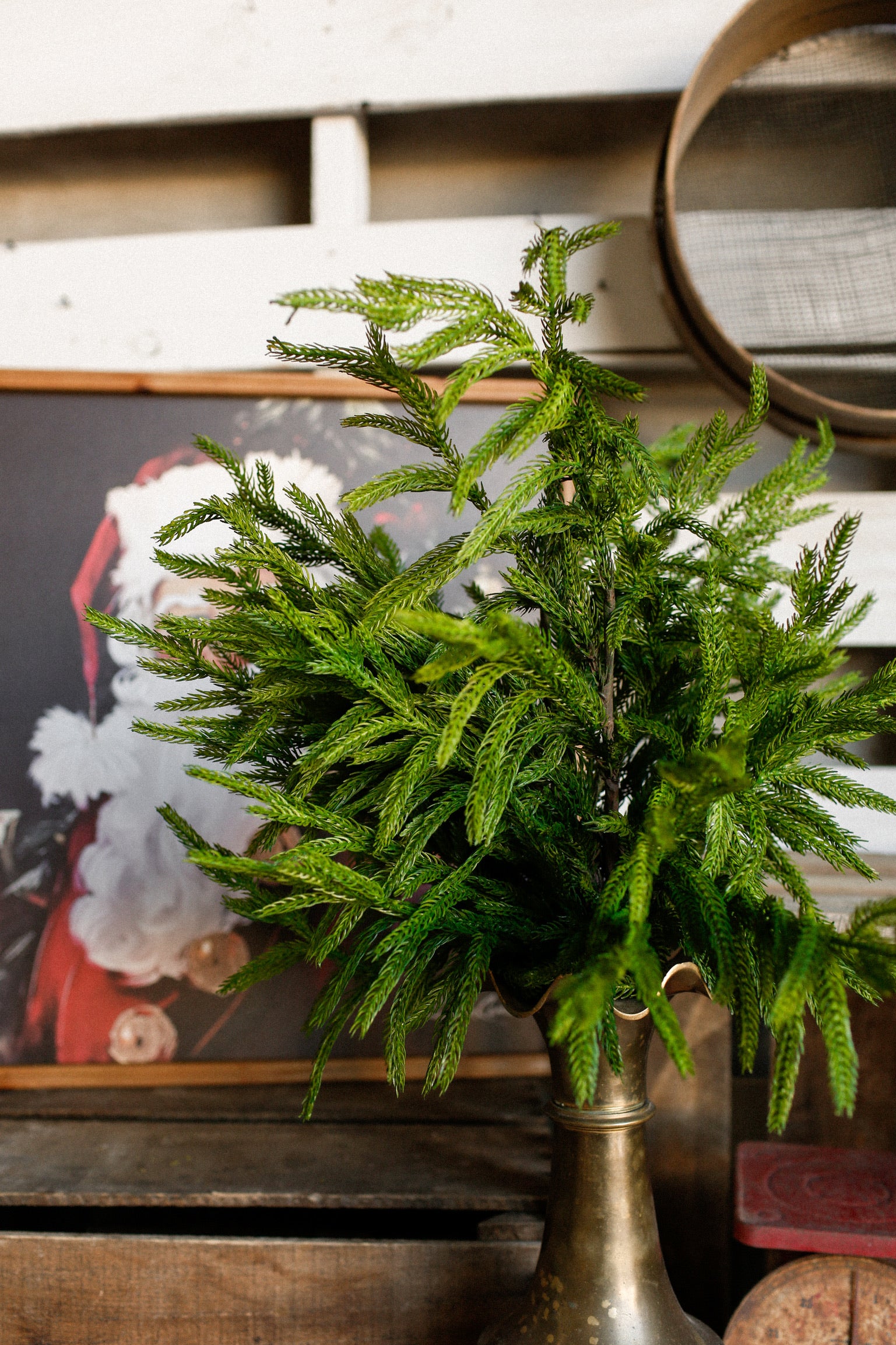 Norfolk Real Touch Cedar Stem