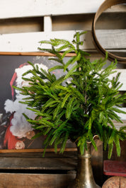 Norfolk Real Touch Cedar Stem