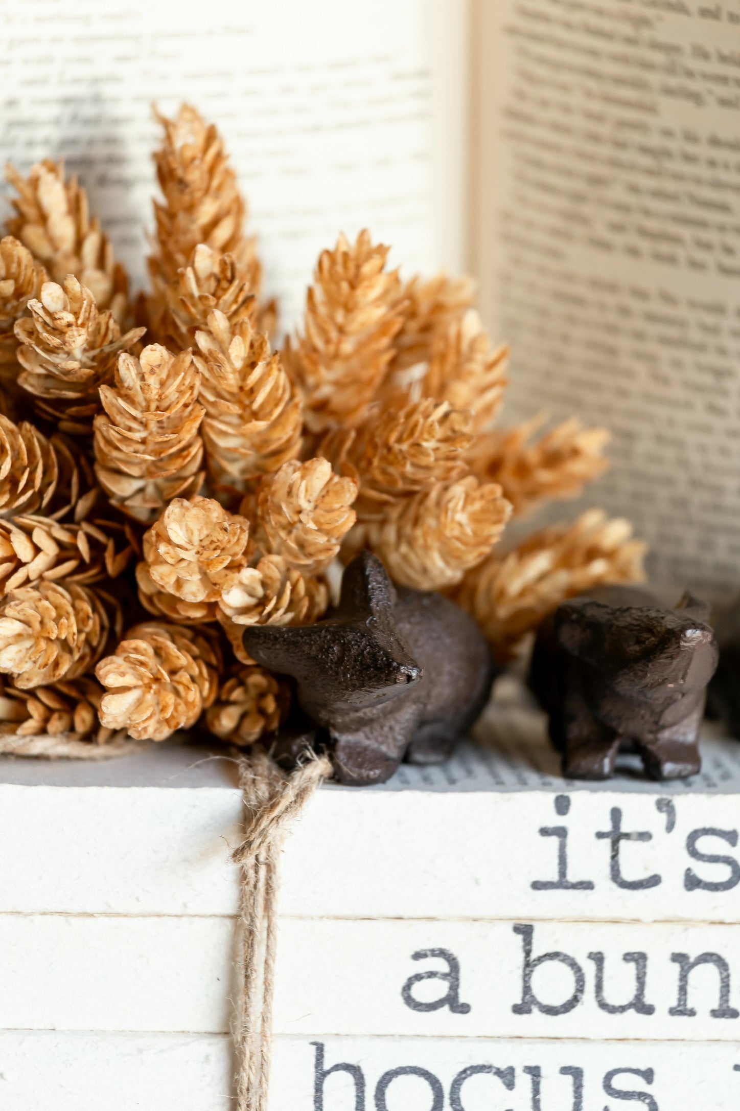 Cast Iron Mouse Creative Co-Op