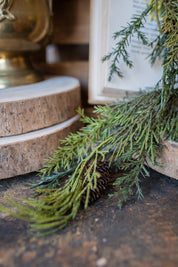 Mixed Cedar Hanging Stem