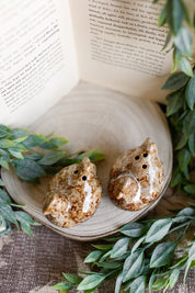 Stoneware Chicken S&P Shakers