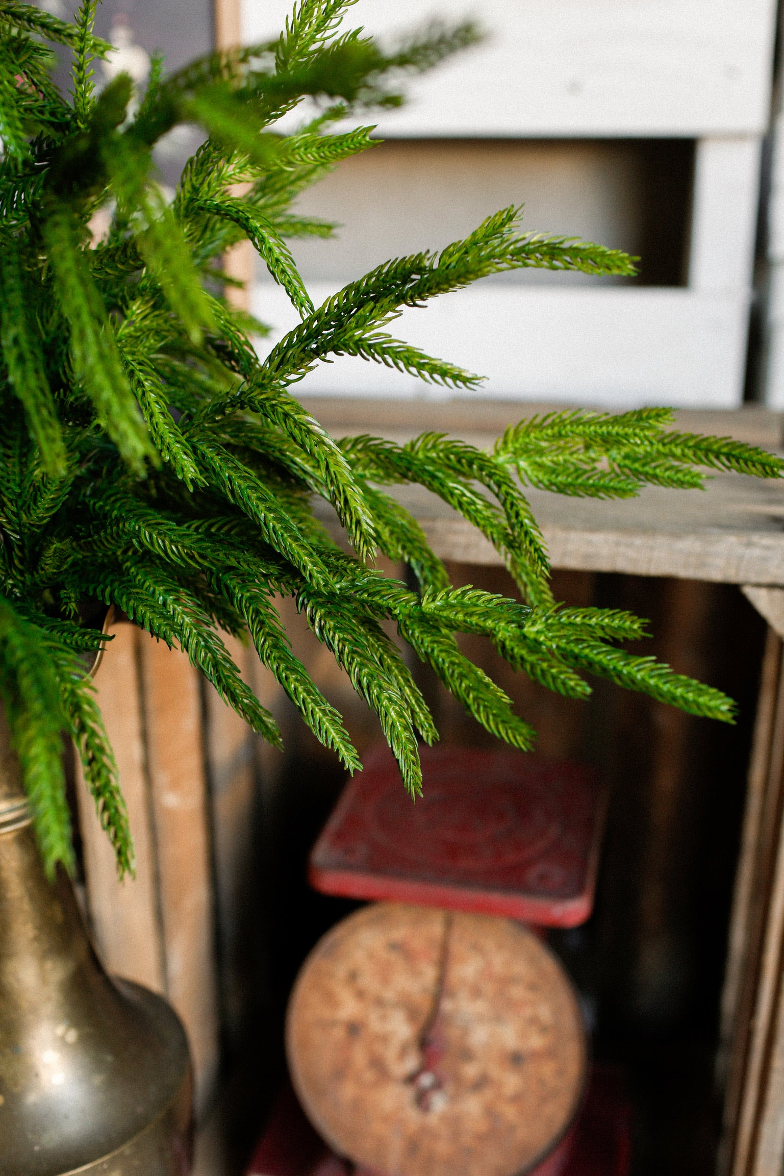 Norfolk Real Touch Cedar Stem