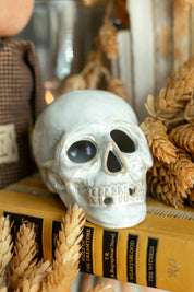 Ceramic Glazed Skull The Little Burlap Barn®