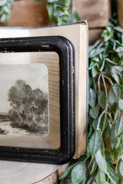 Landscape Framed Picture