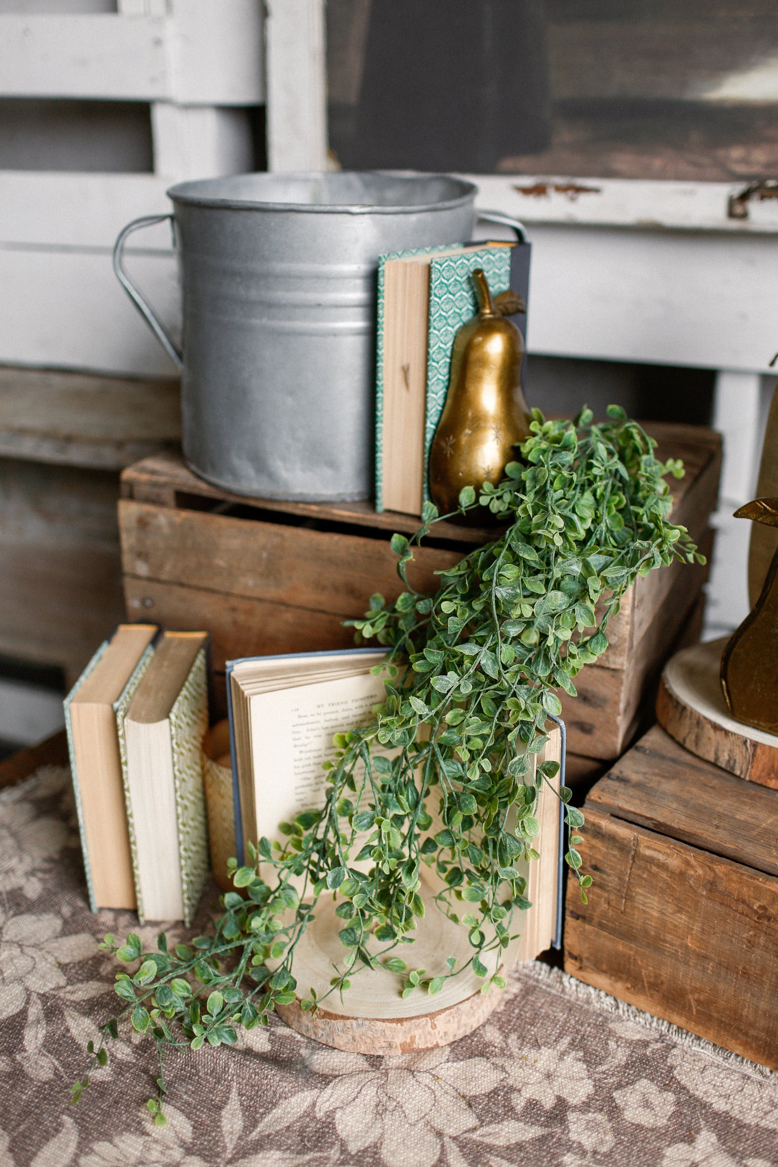 Fairy Vine Hanging Stem