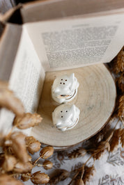 Vintage Ceramic Owl S&P Shakers