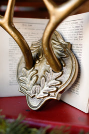 Oakdale Antler Mount (S)