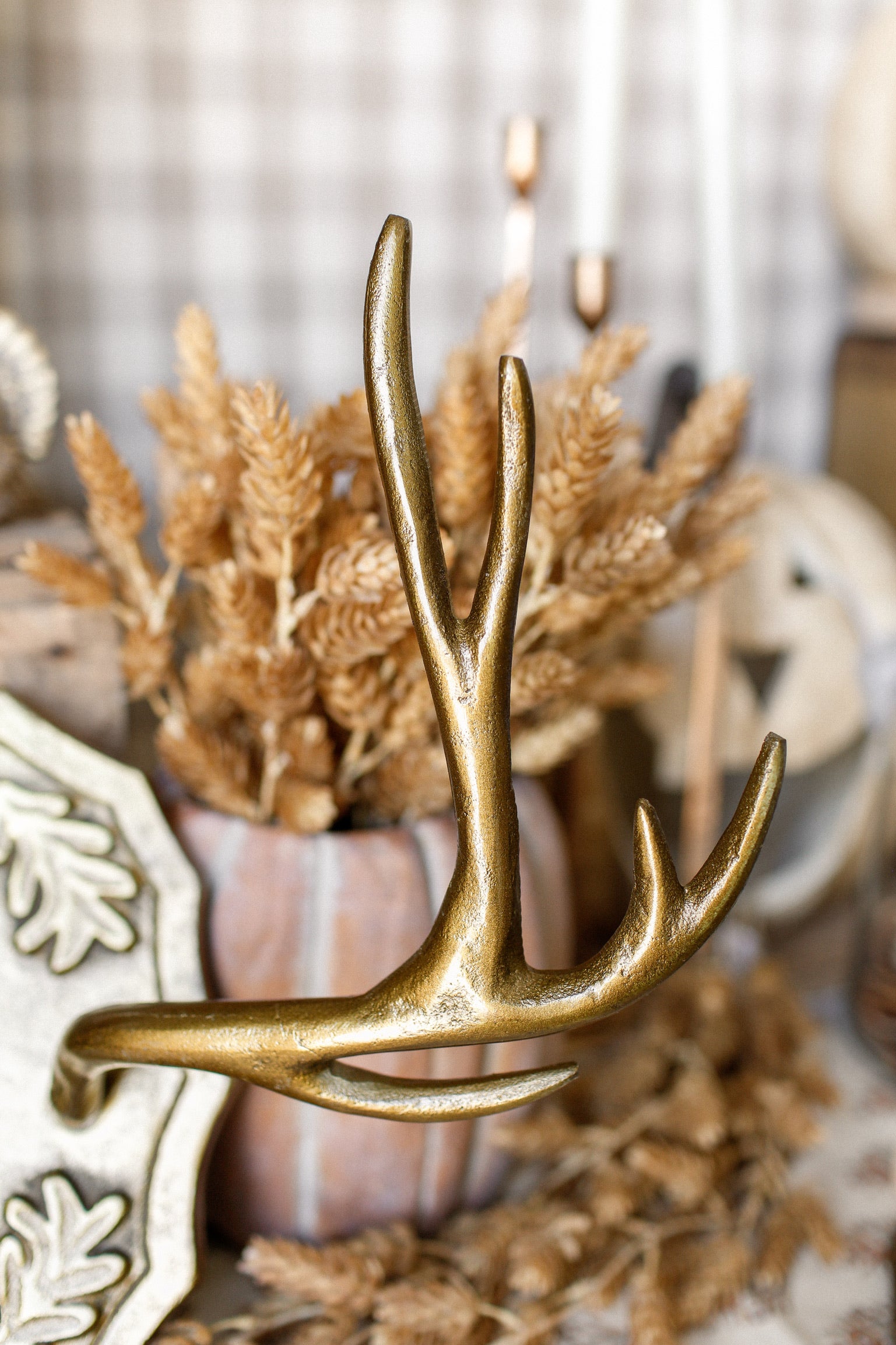 Oakdale Antler Mount (L)