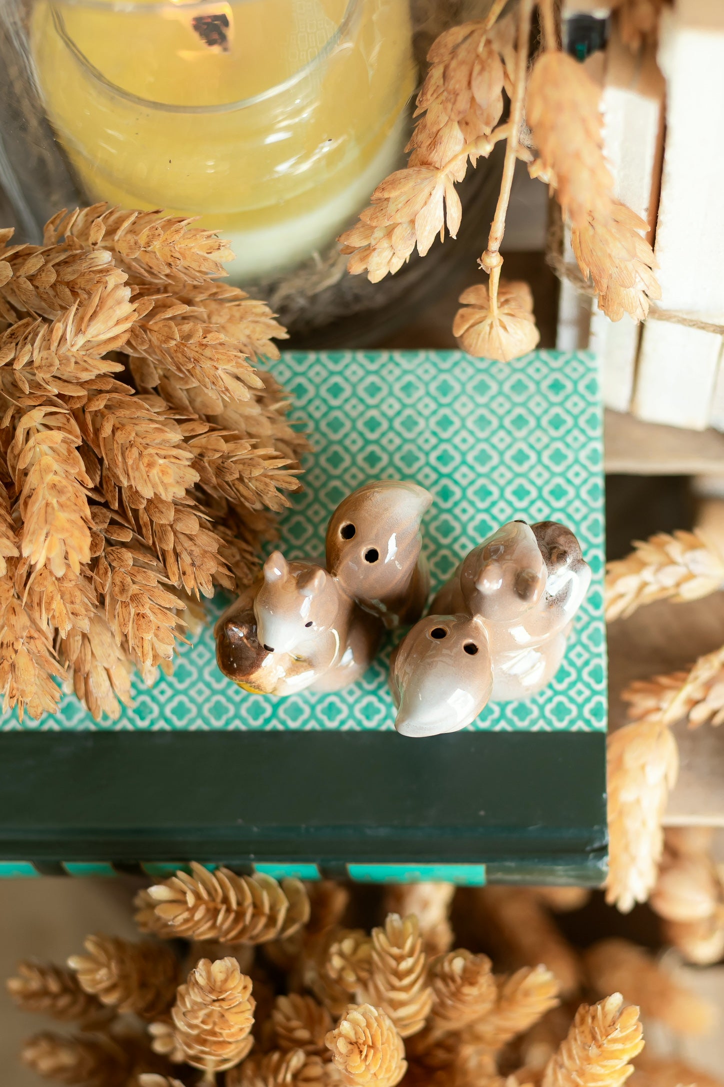 Vintage Squirrel Salt and Pepper Shakers The Little Burlap Barn®