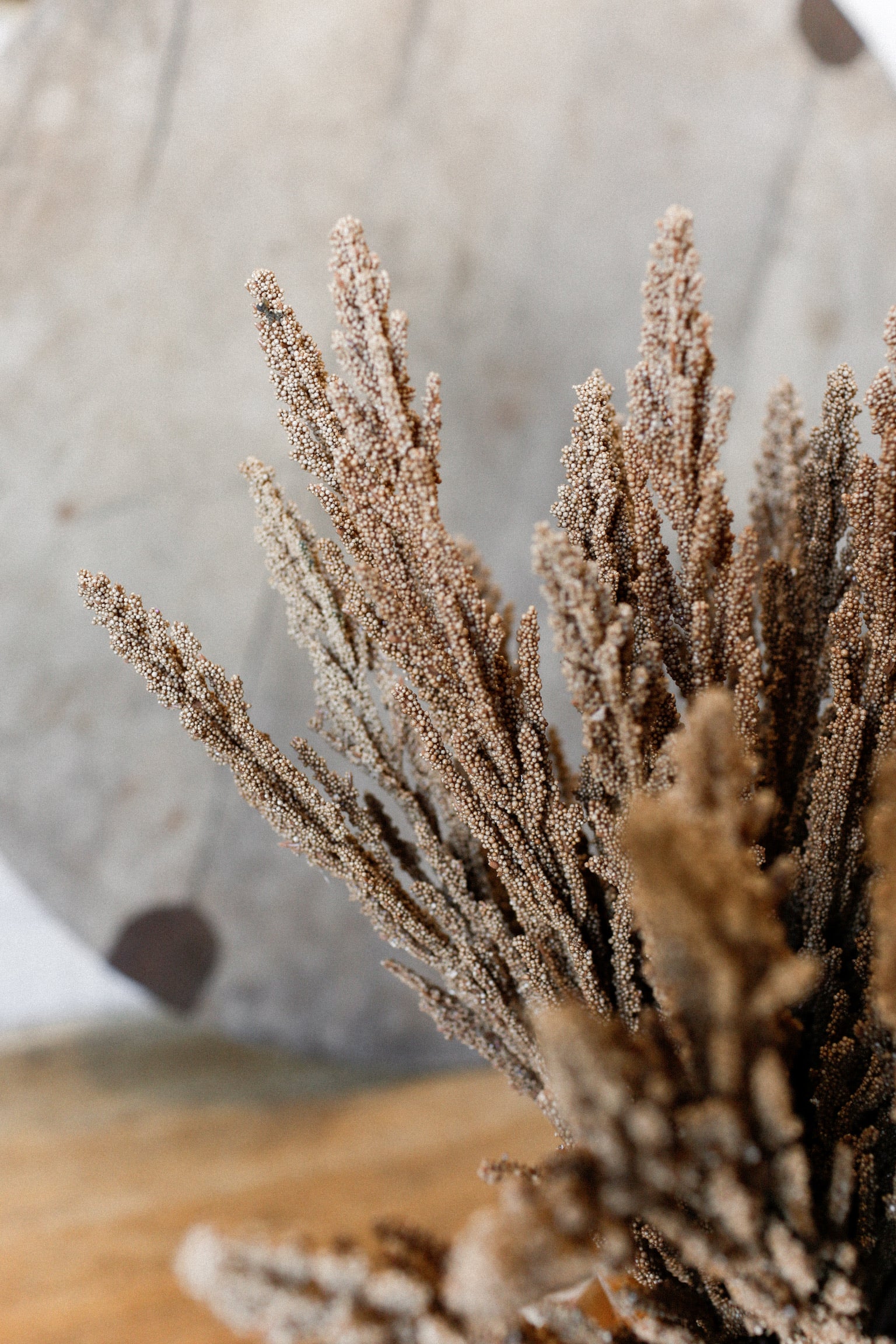 Rustic Driftwood Bundle