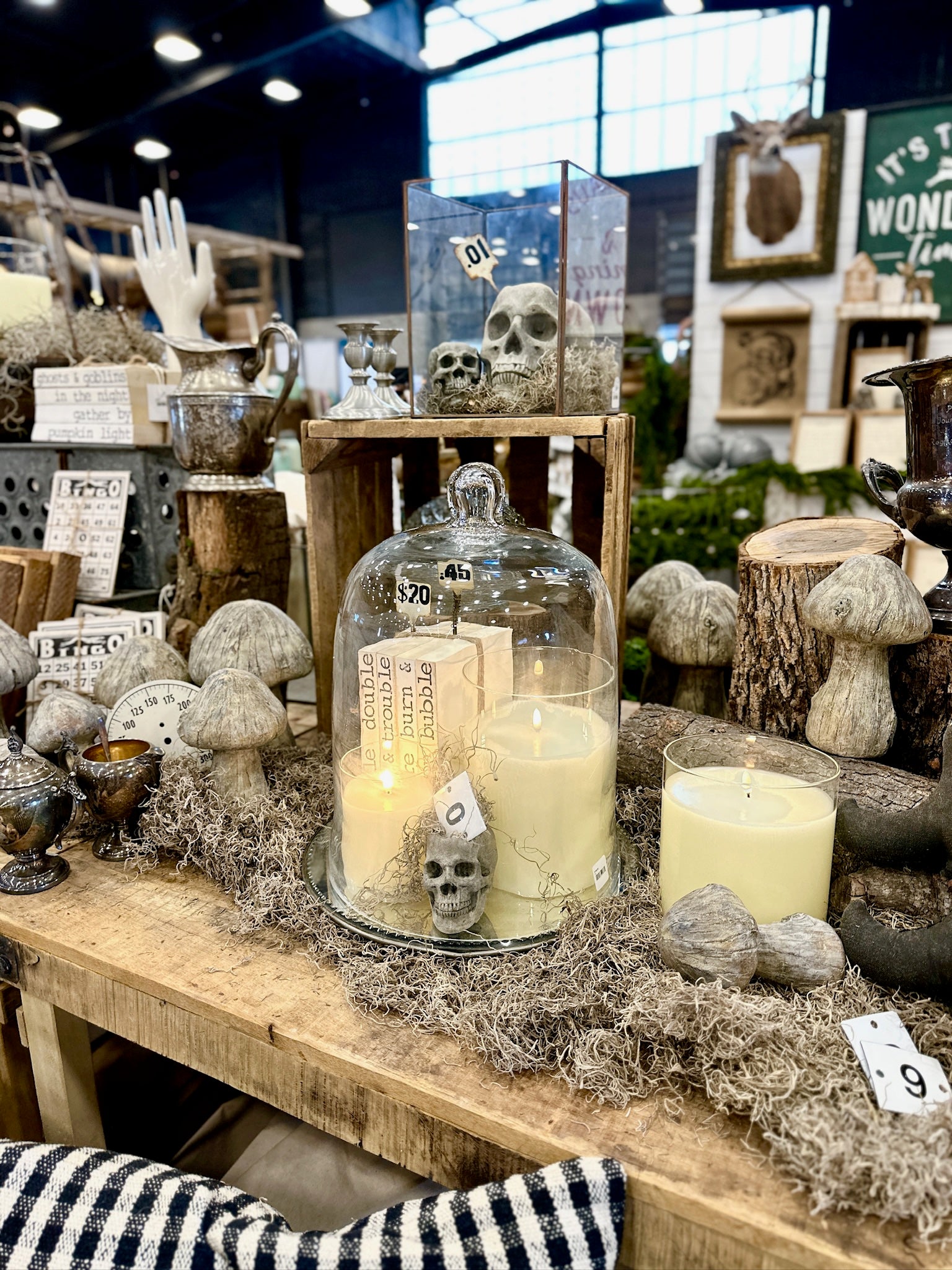 The Great Junk Hunt | San Antonio, TX