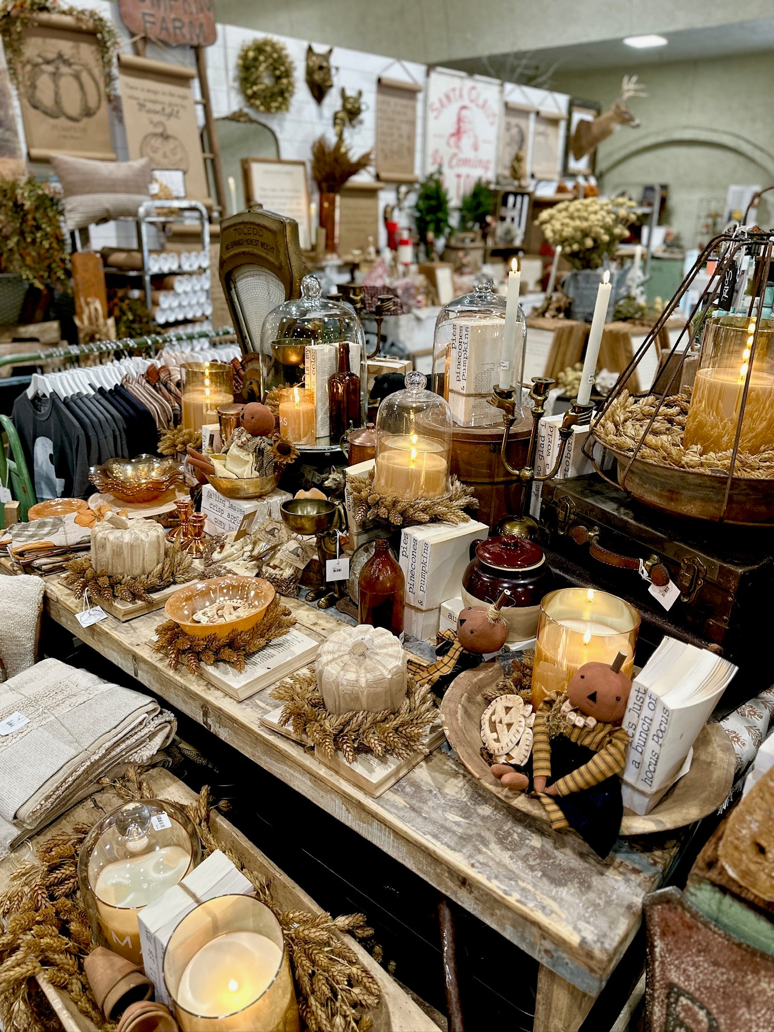 The Great Junk Hunt