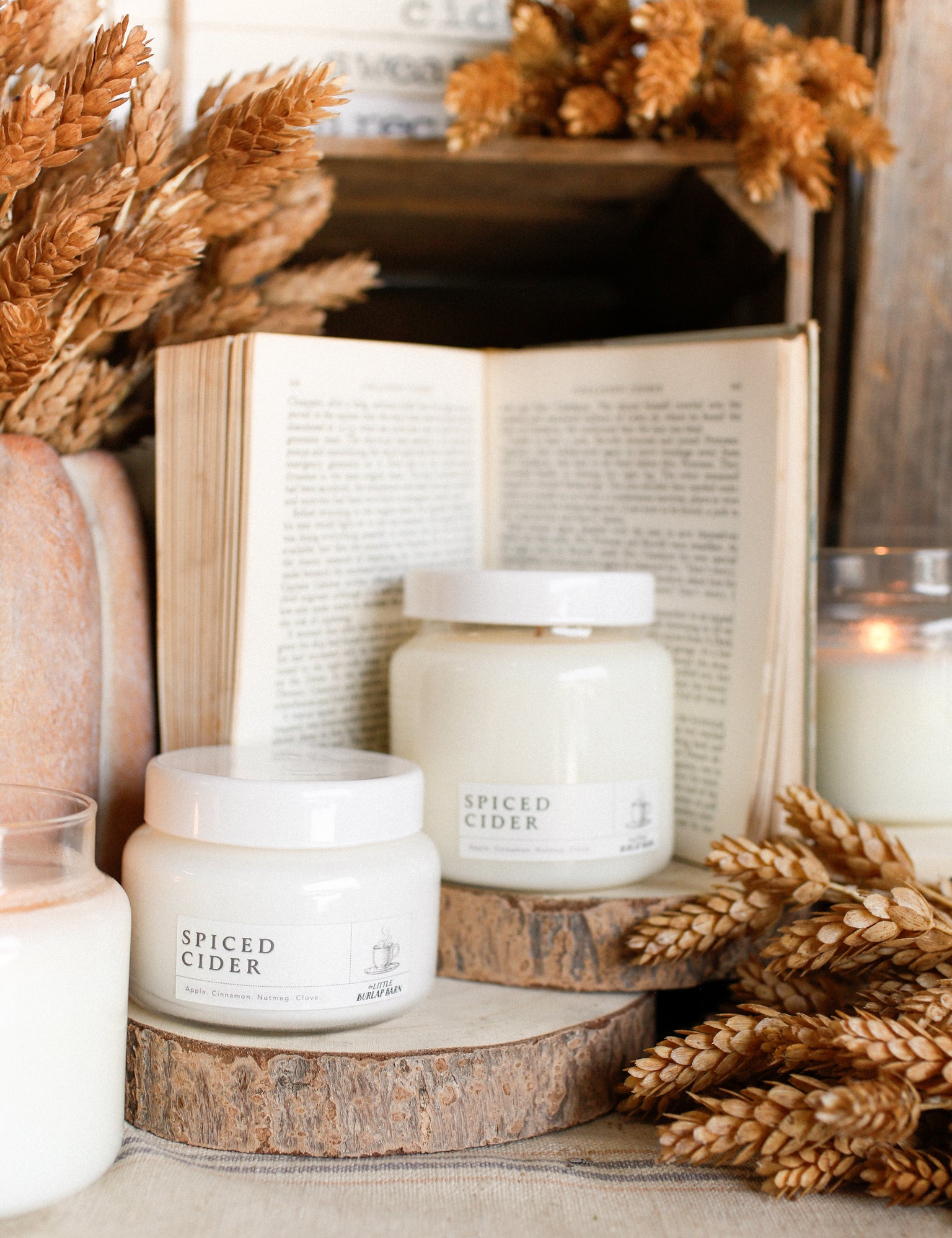 Spiced Cider Apothecary Candle The Little Burlap Barn