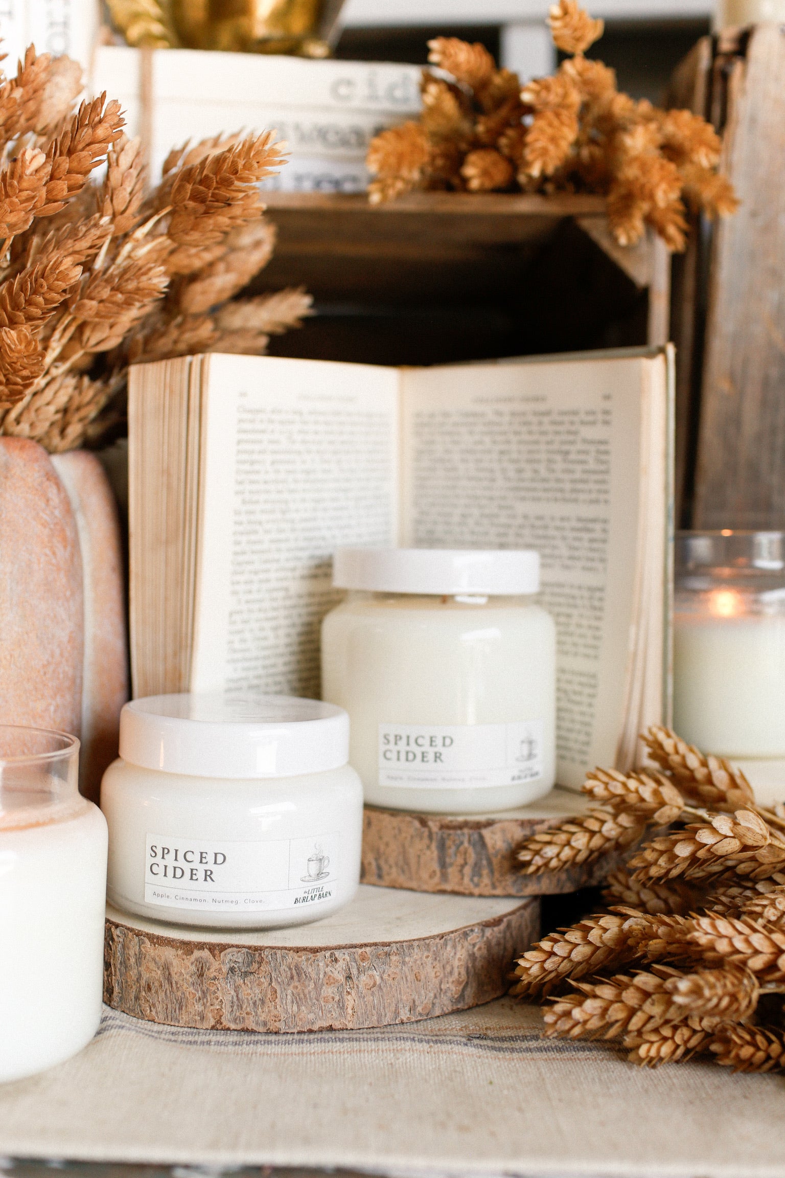Spiced Cider Apothecary Candle The Little Burlap Barn