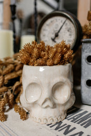 Skull Pot