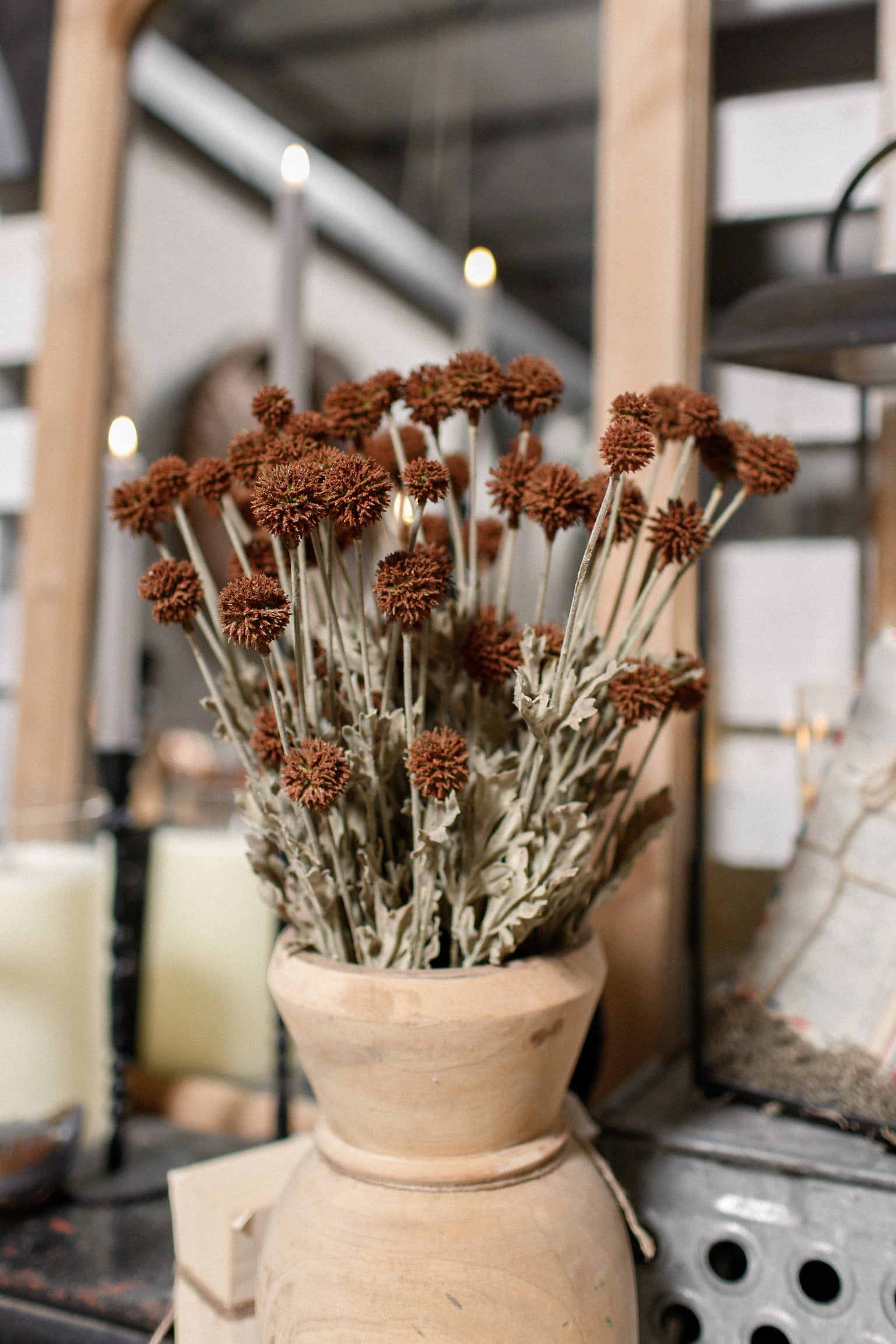 Whimsy Wildflower Bush (Expresso)