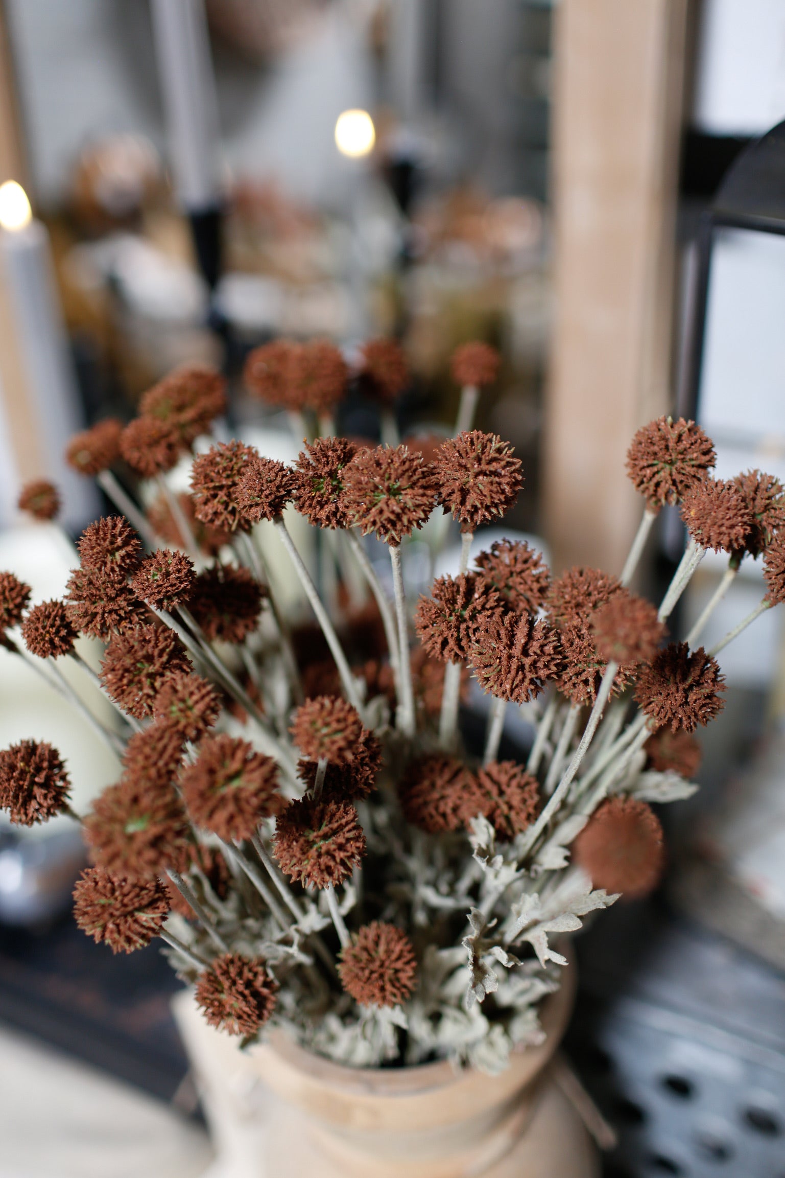 Whimsy Wildflower Bush (Expresso)