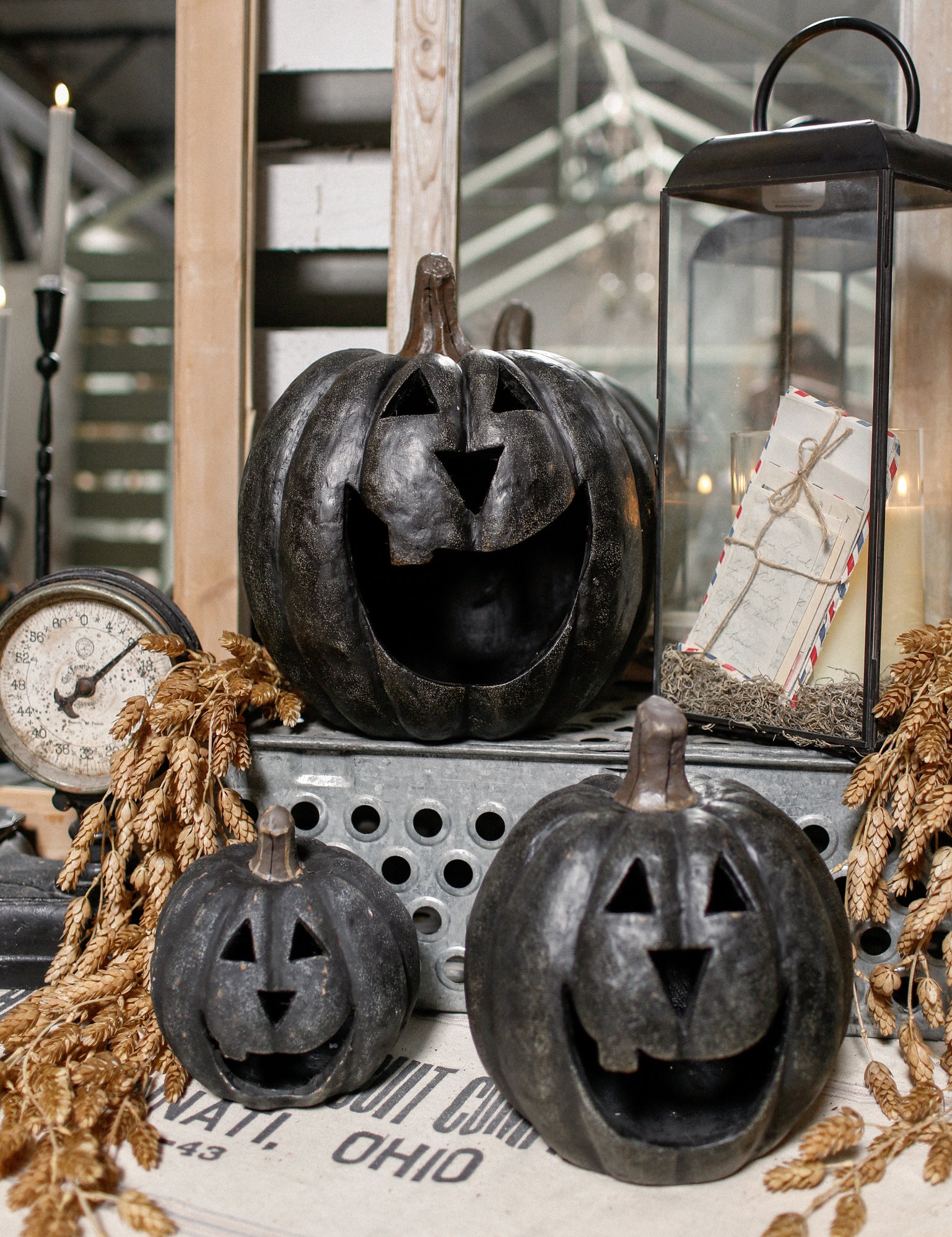 TLBB-Fall-2025-68.jpg