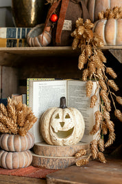 Whimsy Jack O’ Lantern Pumpkin Ragon House