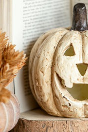 Whimsy Jack O’ Lantern Pumpkin Ragon House