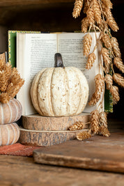 Whimsy Jack O’ Lantern Pumpkin Ragon House
