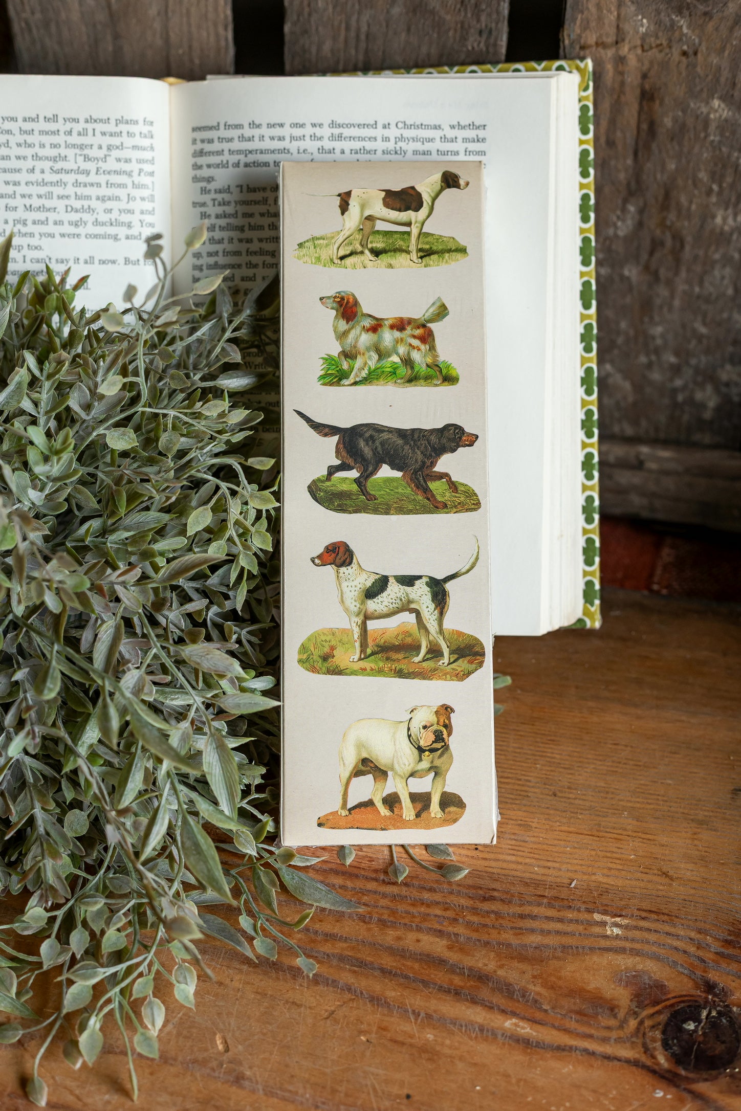 Dog Breeds Matches HomArt