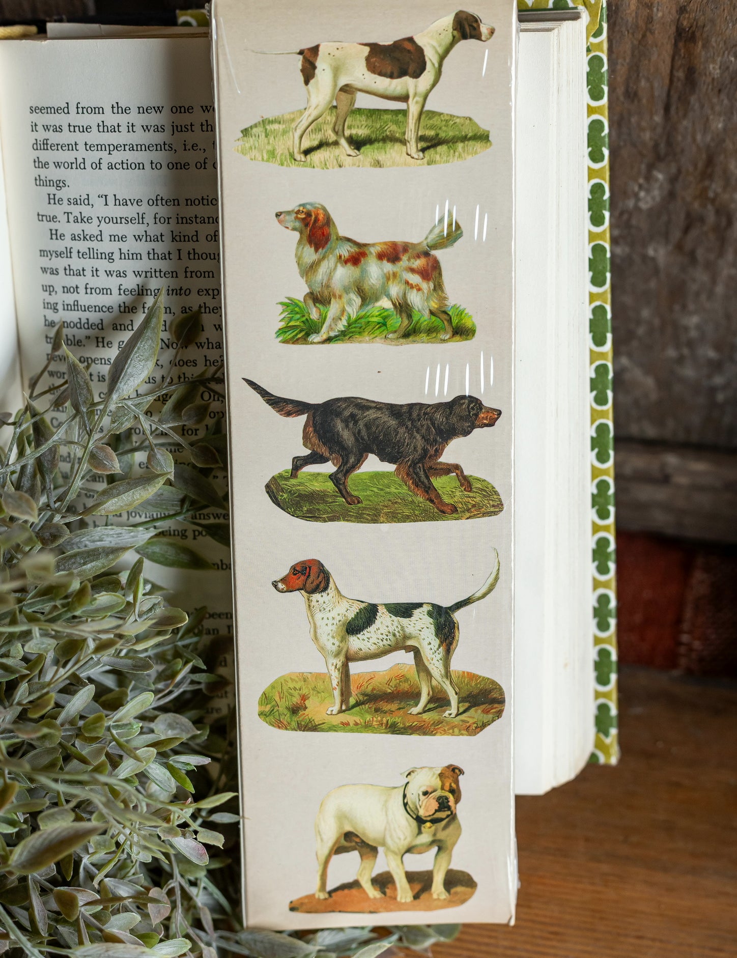 Dog Breeds Matches HomArt