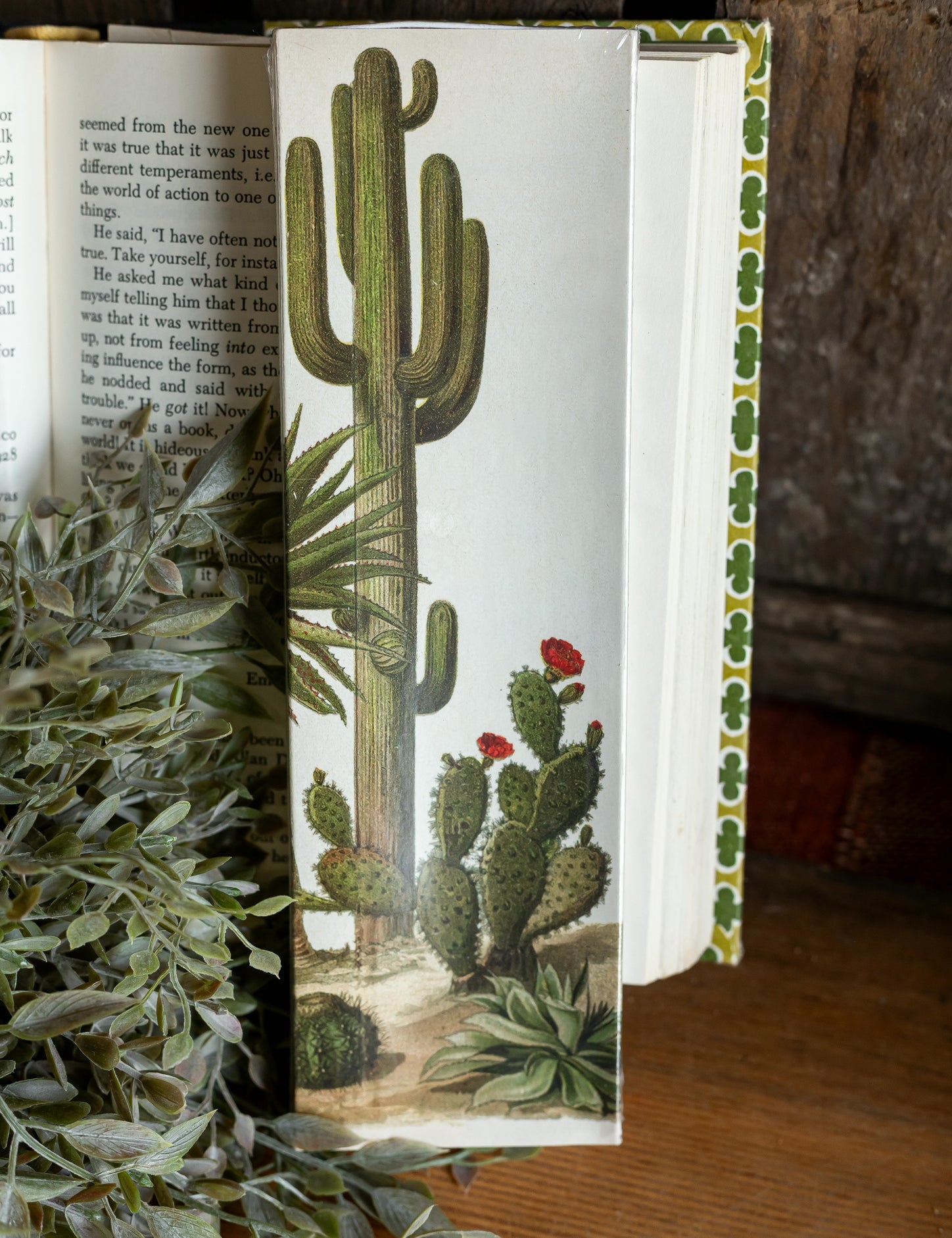 Desert Cactus Matches HomArt