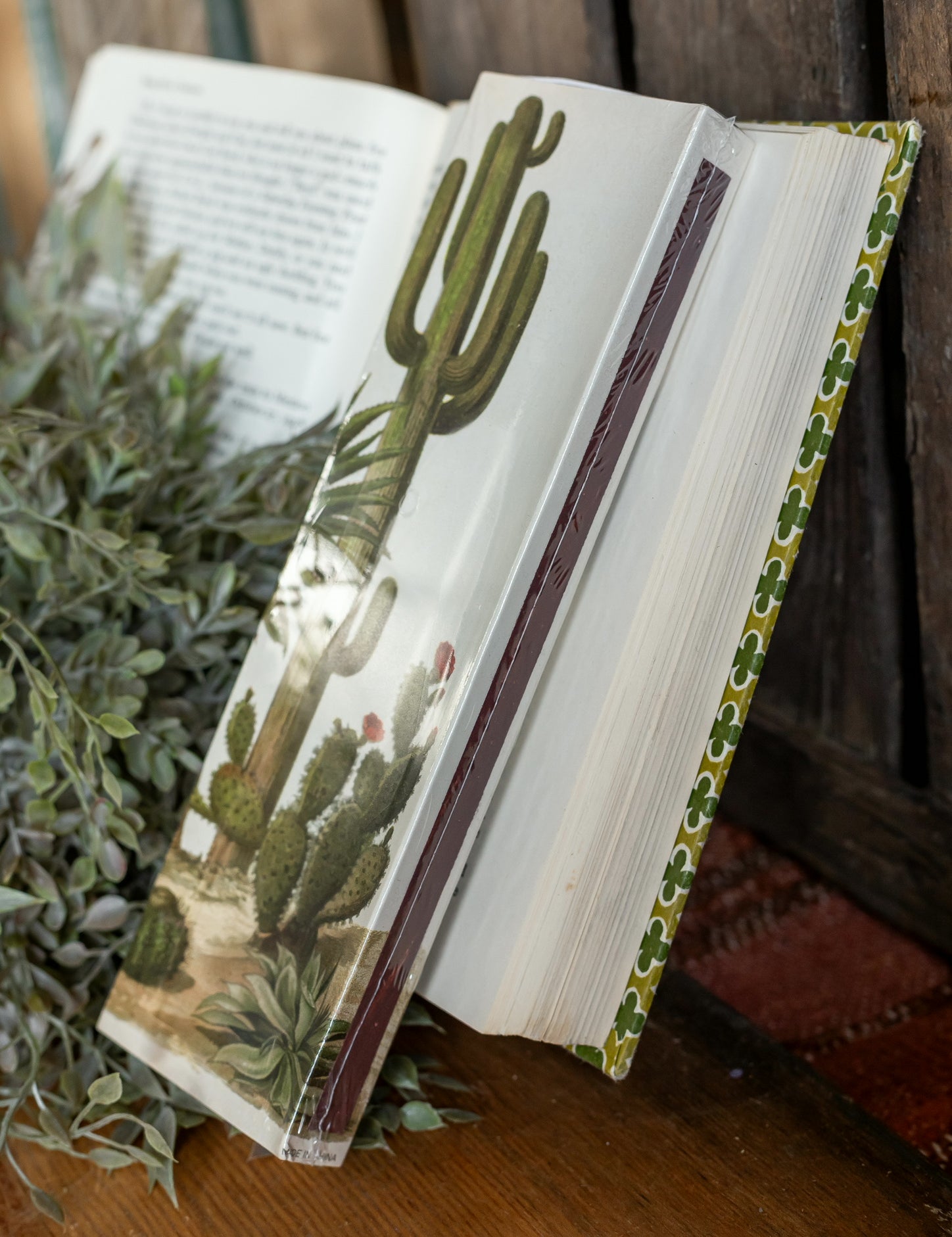 Desert Cactus Matches HomArt