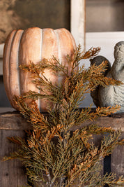 Fall Juniper Stem Ragon House