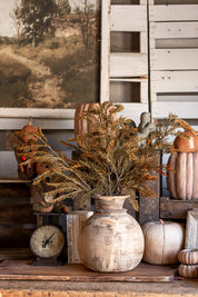 Fall Juniper Stem Ragon House