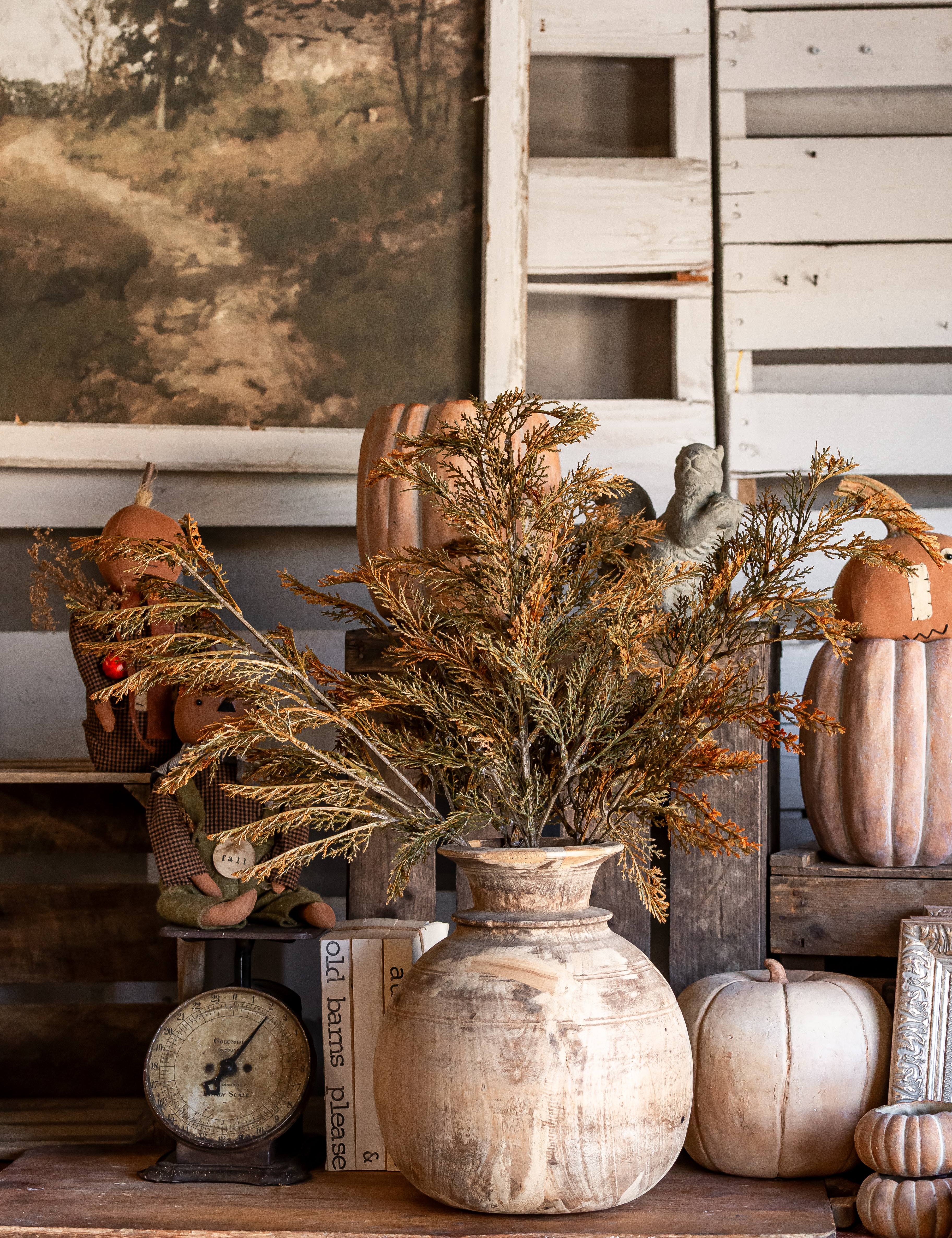 Fall Juniper Stem Ragon House