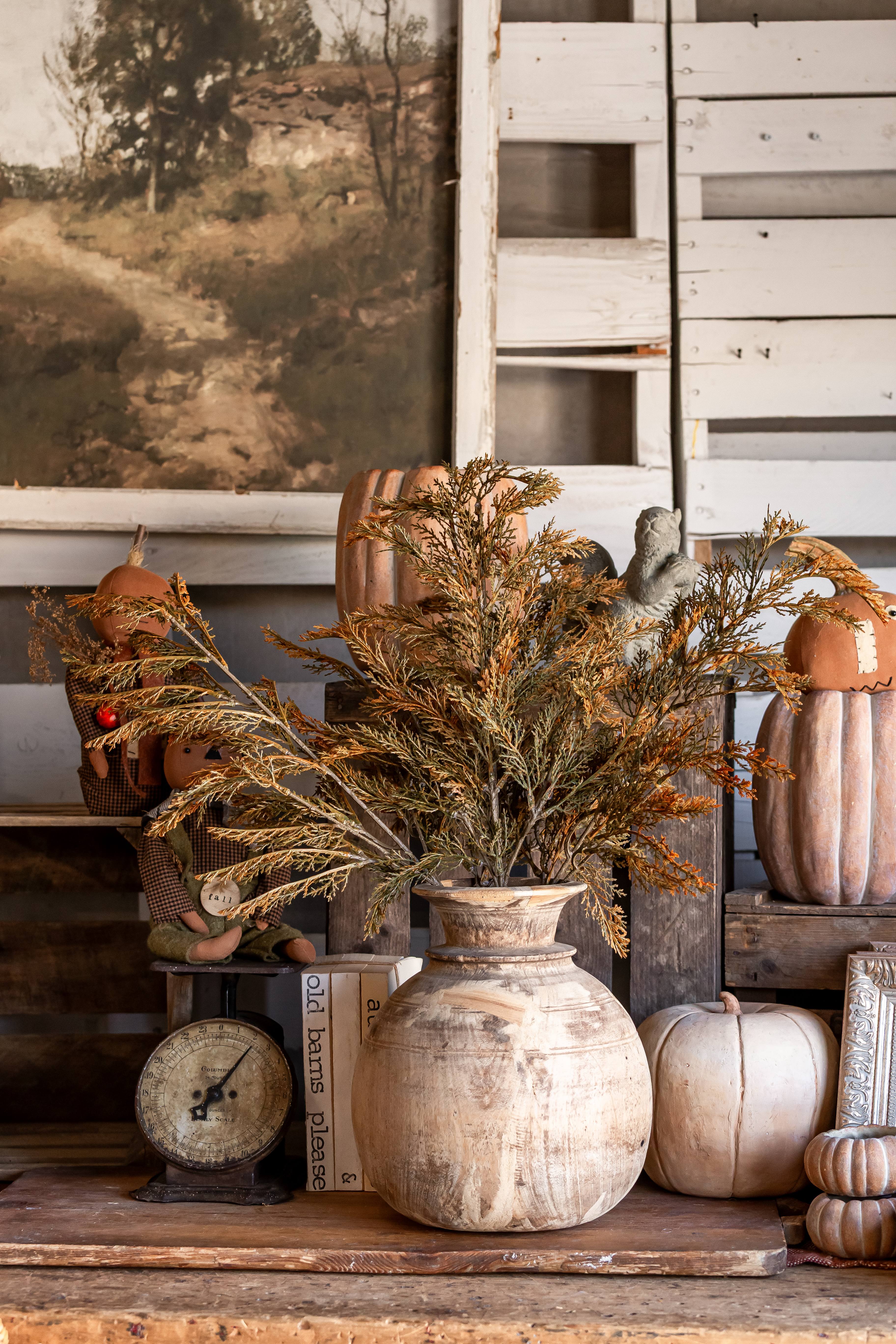 Fall Juniper Stem Ragon House