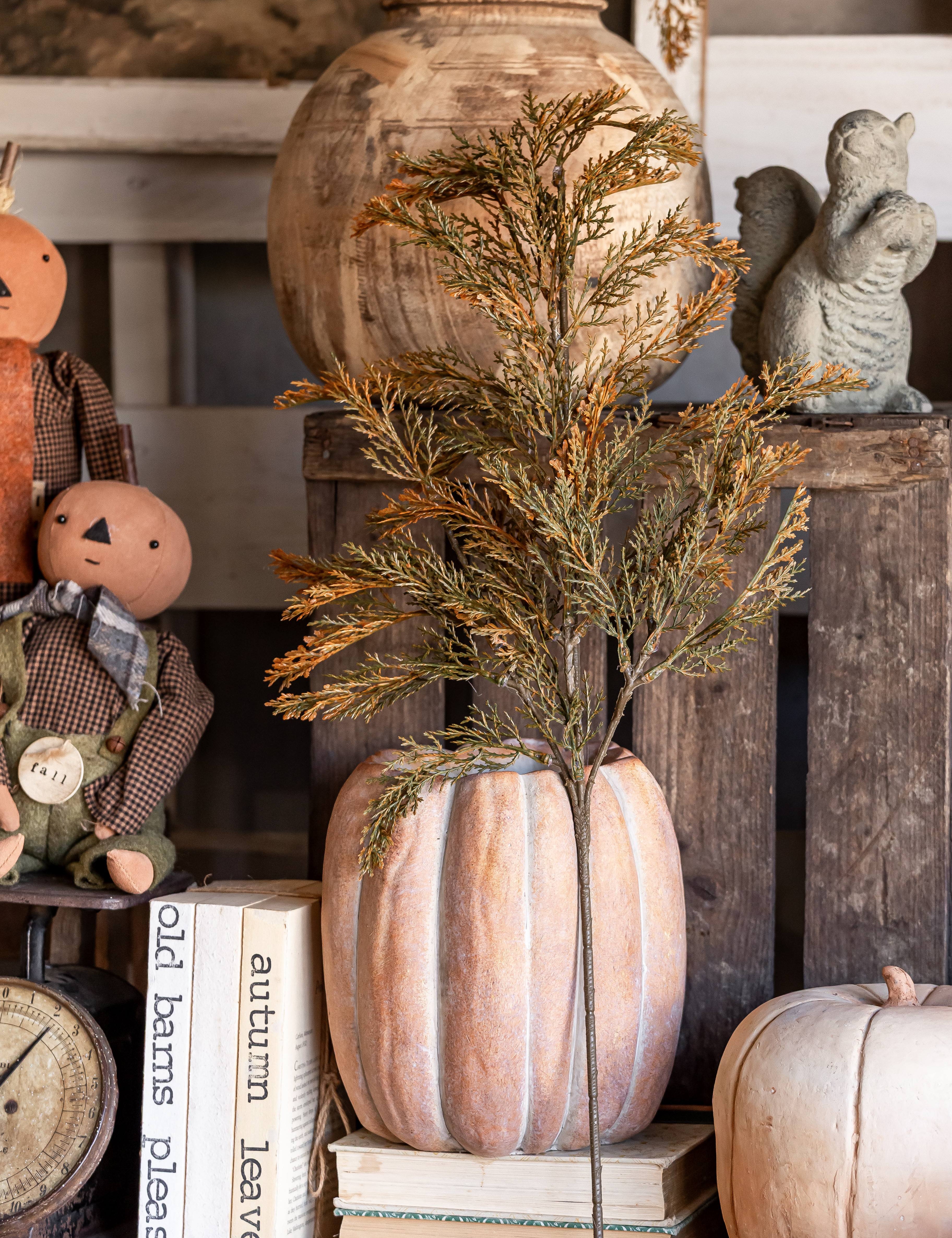 Fall Juniper Stem Ragon House