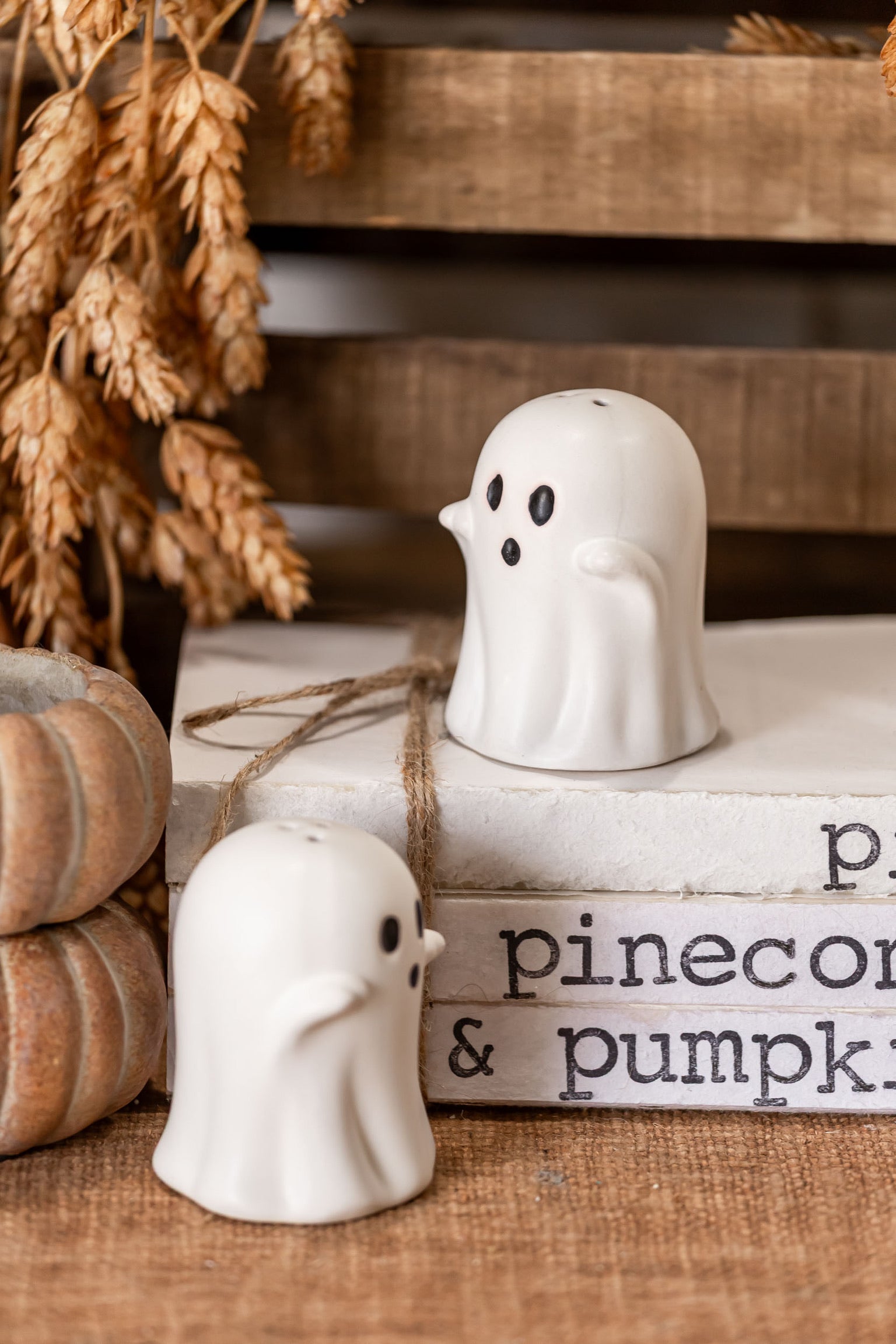 Ghost Salt and Pepper Shakers Creative Co-Op