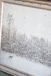 Winter Fawn Framed Art Petal Lane Home