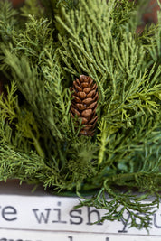 Green Cedar Sphere Lancaster and Vintage