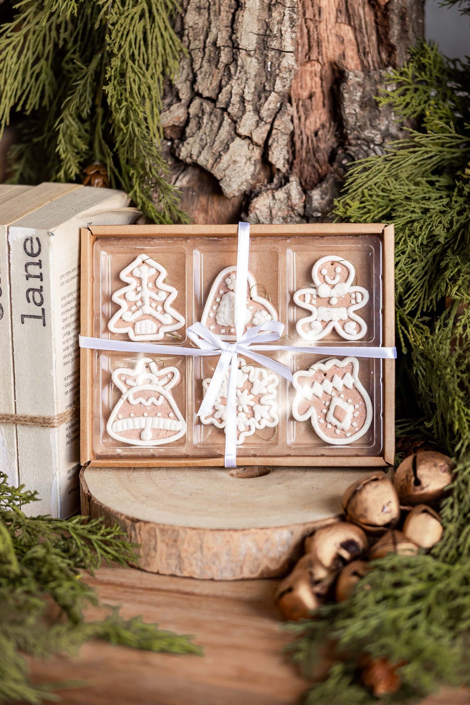 Gingerbread Cookie Ornament Set Raz Imports