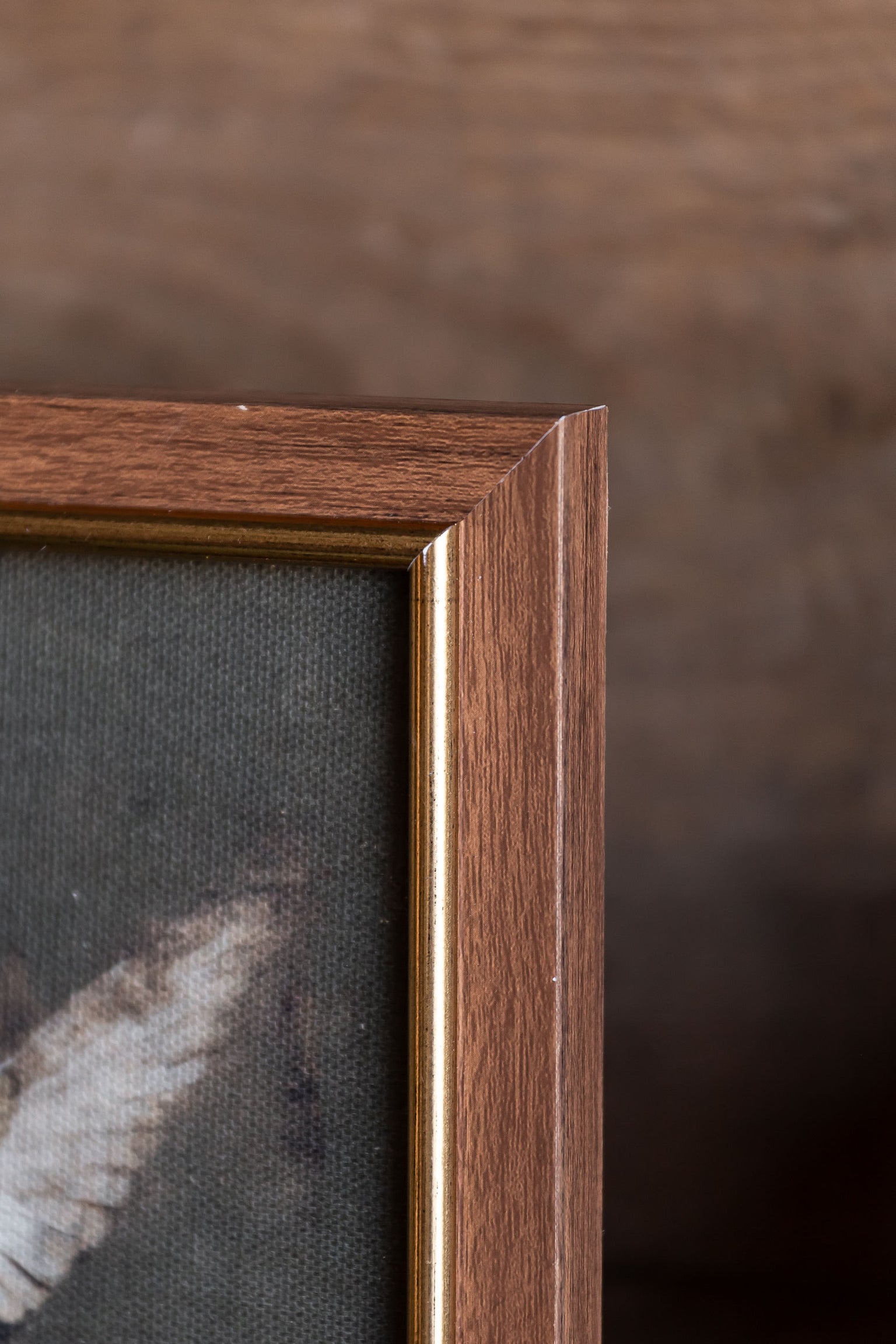 Hummingbird Framed Art Petal Lane Home