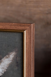 Hummingbird Framed Art Petal Lane Home