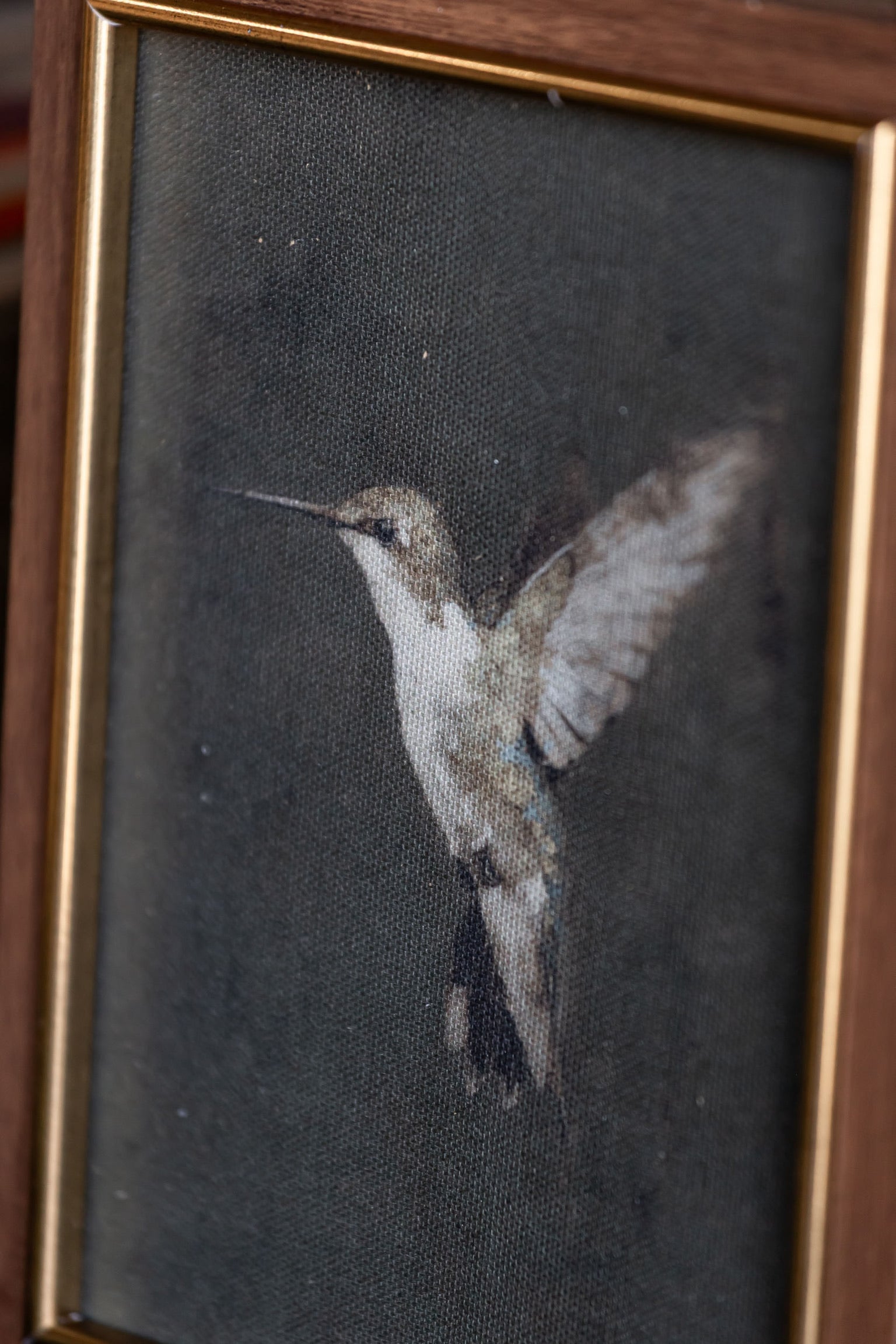 Hummingbird Framed Art Petal Lane Home